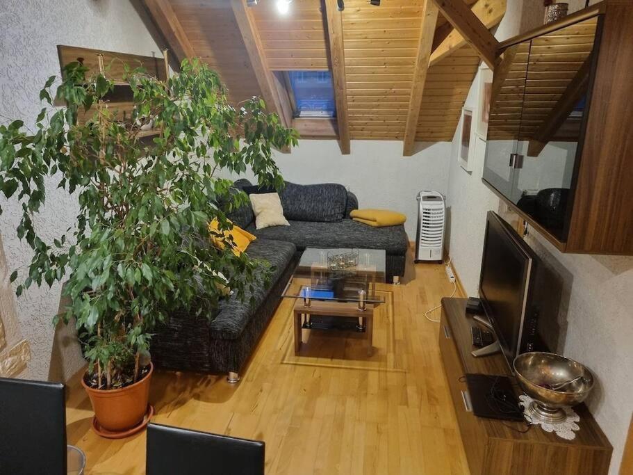 Gemuetliche Dachgeschosswohnung Erfurt Kültér fotó